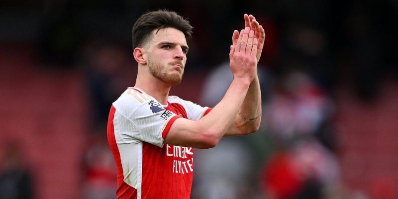 The Diverse Ecosystem Under CEO Ball88